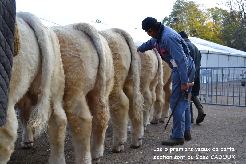 avallon 2018